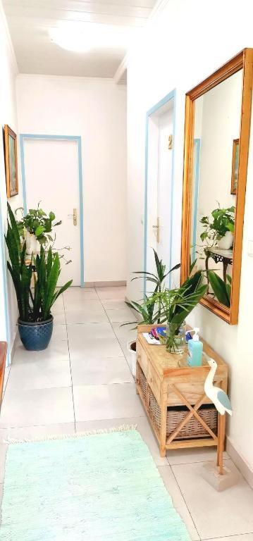 Home & Flower - Private Bedrooms Funchal Bagian luar foto