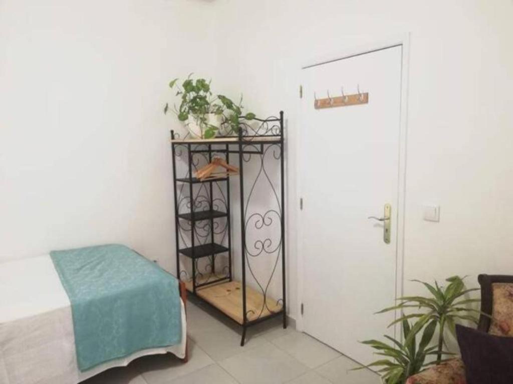 Home & Flower - Private Bedrooms Funchal Bagian luar foto